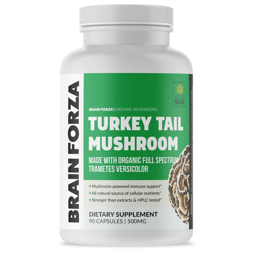 Brain Forza Organic Turkey Tail Mushroom Capsules Mushroom Powdered Immune Support Liver and Digest Health Support Organic Defense Support Non-GMO Vegan Organic 90 Capsules