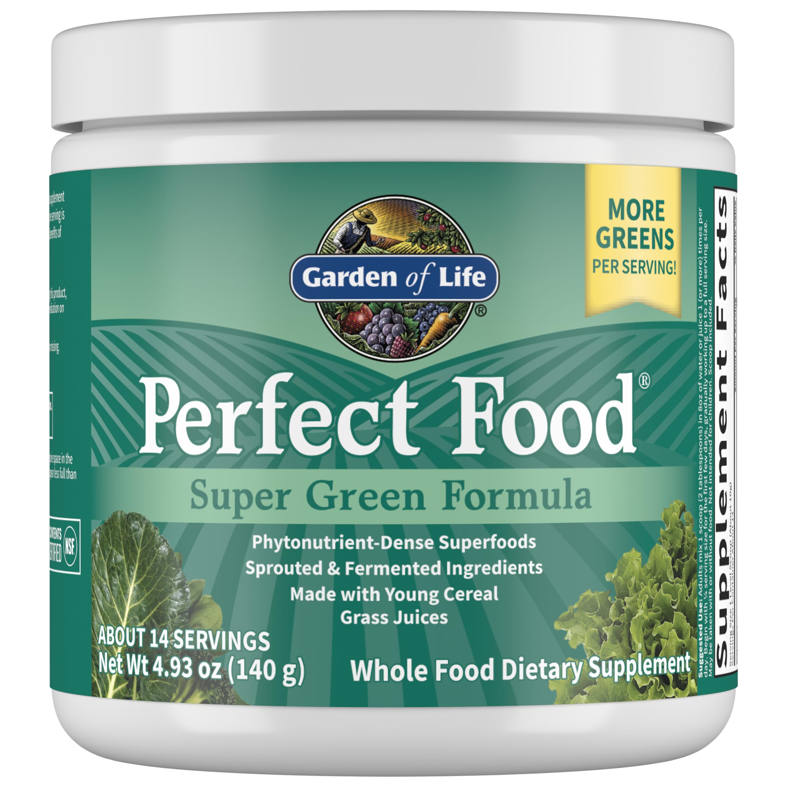 Garden of Life Perfect Food Super Green Formula - 14 Servings | 45 Superfoods Greens Fruit & Veggie Juice Superfood Powder Supplement Probiotics & Organic Spirulina for Digestion & Immune Health